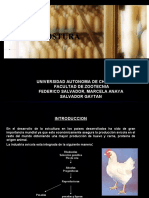 MANEJO DE AVES EN POSTURA-DIC 2010.ppt