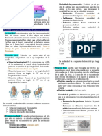 PRACTICA 3.docx