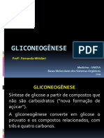 BMSO - Gliconeogênese