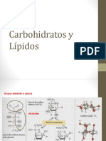 Carbohidratos y Lípidos PDF
