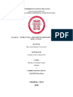 Semana 5 - Mapa C. Raíz y Tallo PDF