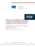 Efecto Tóxico Del Ibuprofeno y Meloxicam en La Estructura Histológica de Testículos y Calidad Seminal de Ratas Albinas Variedad Sprague Dawley