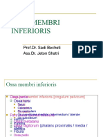 Ligjerate Anatomi