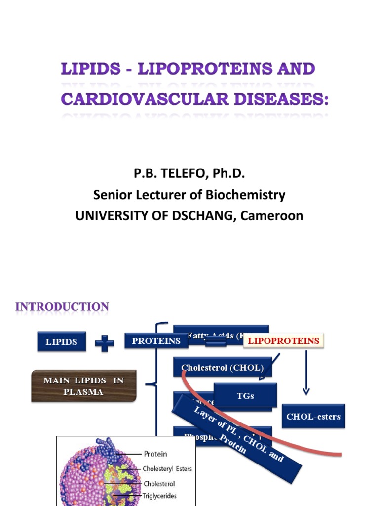 Lipid Profiles and Atherosclerosis Risk | PDF | Cholesterol | Lipoprotein