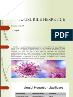 VIRUSURILE HERPETICE