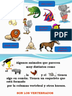 ANIMALES VERTEBRADO Clase Del 4-1