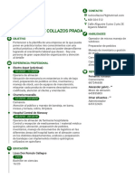 CV - Curso Final PDF