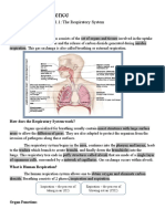 Science: Lesson 1.1: The Respiratory System