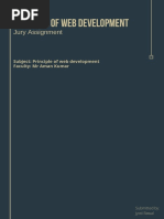 Principle of Web Development 