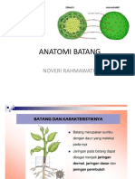 ANATOMI BATANG