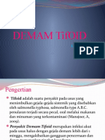 KMB Demam Typoid