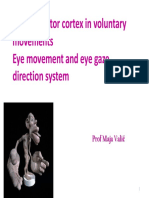 P Motor Cortex Eye Movement Engl