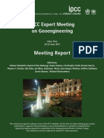 EM GeoE Meeting Report Final PDF