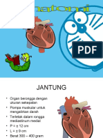 Anatomi Jantung