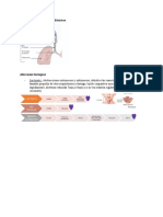 Pediatría, Clase 13, Síndromes Respiratorios