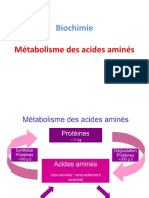 Métabolisme Des Acides Aminés (DR - Chikouche)