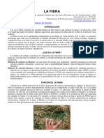 66-LA FIBRA 2006 EXCELENTE.pdf
