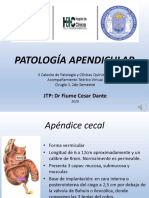 Patología Apendicular (Dr. César Fiume)
