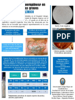 Poster Bacterio PDF