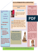 Infografia 2