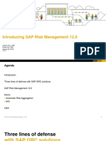 Introducing SAP Risk Management 12.0: James Chiu, SAP Pollen Pei, SAP August 30, 2018