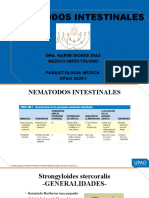 Nematodos Intestinales: Dra. Karim Dioses Diaz Médico Infectólogo Parasitología Médica UPAO 2020-I