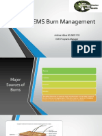 EMS Burn Management.pdf