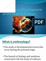 Embryology: The Development of an Embryo in the First 3 Weeks