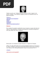 Download sindrome de golden relacion con los arcos branquiales by eddy1012805361 SN49001120 doc pdf