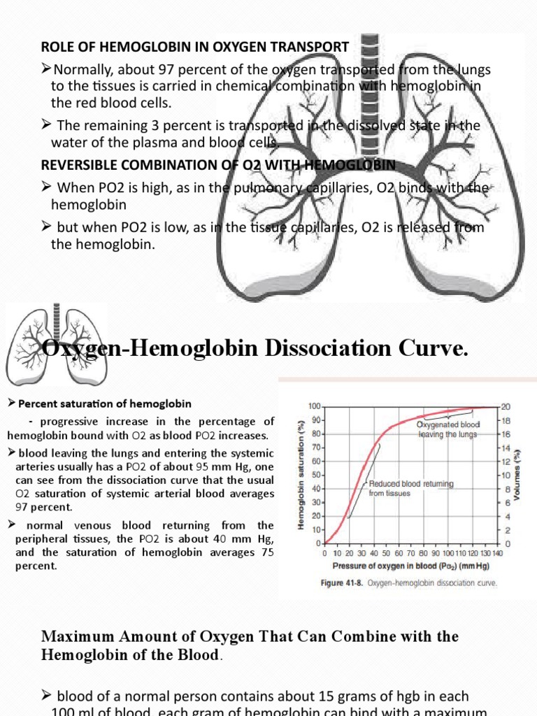 Role of Hemoglobin in Oxygen Transport | PDF | Hemoglobin | Blood