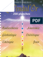 Pendul or PDF