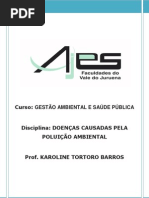 20100326100037- www.ajes.edu.br