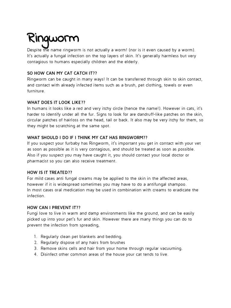 Understanding Cat Ringworm Infection | PDF