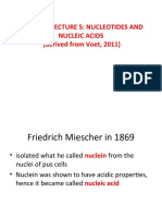 CHEM 205 LECTURE 5 NUCLEIC ACIDS