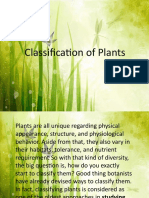 Classification of Plants