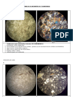 examen rocas metamorficas y sedimentarias respuestas