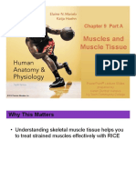 Muscles and Muscle Tissue: Chapter 9 Part A