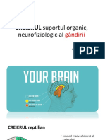 Creierul PDF