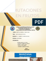 Mutaciones en Frutos