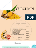 Curcumin - Keompok 3