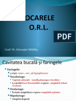 Curs. 7- Focarele ORL