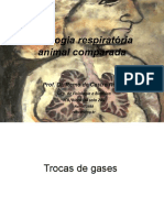 Aula 3 Fisiologia Animal Comparada.ppt.pptx