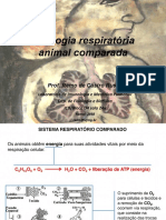 Aula 2 Fisiologia Animal Comparada