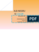 Alb-Negru Si Color Proiect