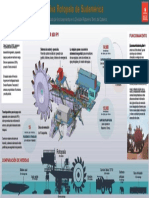 PDF Infografia Rotopala DD