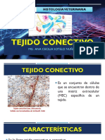 S3-TEJIDO CONECTIVO.pdf