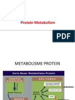 1-Protein Metabolisme-Gambaran Umum