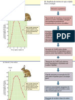 Aspectos estudados na reprodução: semelparidade, fertilização e sincronização dos ciclos