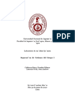 INFORME LABORATORIO N°02-SEPARACION DE CATIONES DEL GRUPO I (1)