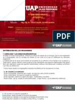 Semana 2 PDF